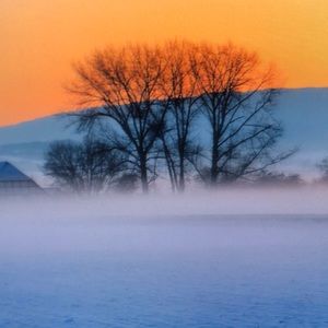 Meet your Posher, Tabitha